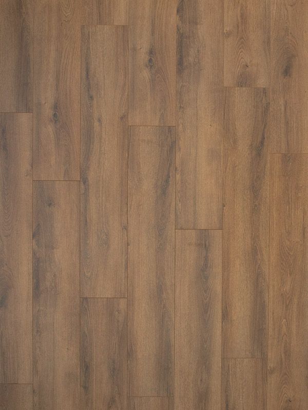 Summer Oak