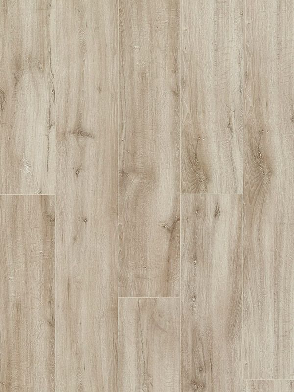 Sicily Oak