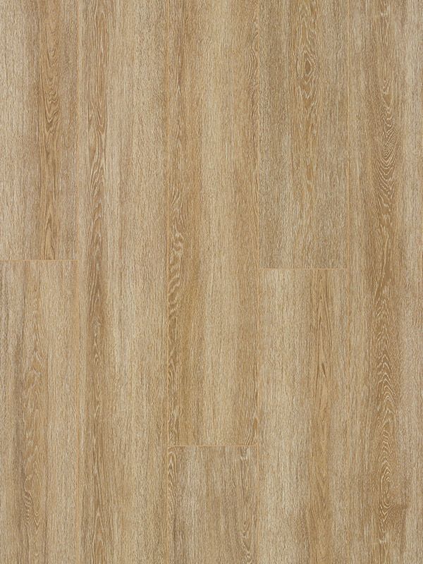 Vivaldi Oak