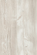 Cascine Pine